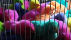 DSC00132