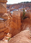 DSC02750