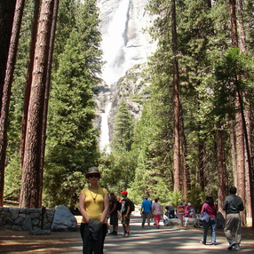 California 2011