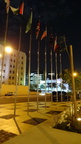 DSC00317