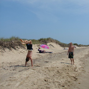 Cape Cod 2010