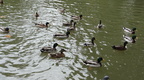 DSC02406