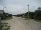 IMG 0039