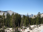 DSC03367