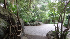 DSC06021