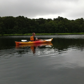 Cape Cod 2013