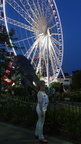 DSC06524