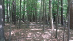 DSC06578