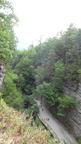 DSC06651
