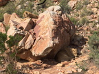 IMG 4738