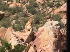 IMG 4739