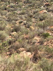 IMG 4745
