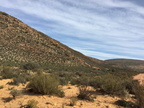 IMG 4747