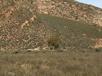 IMG 4749