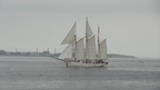 DSC07451