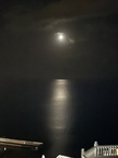 IMG 0929